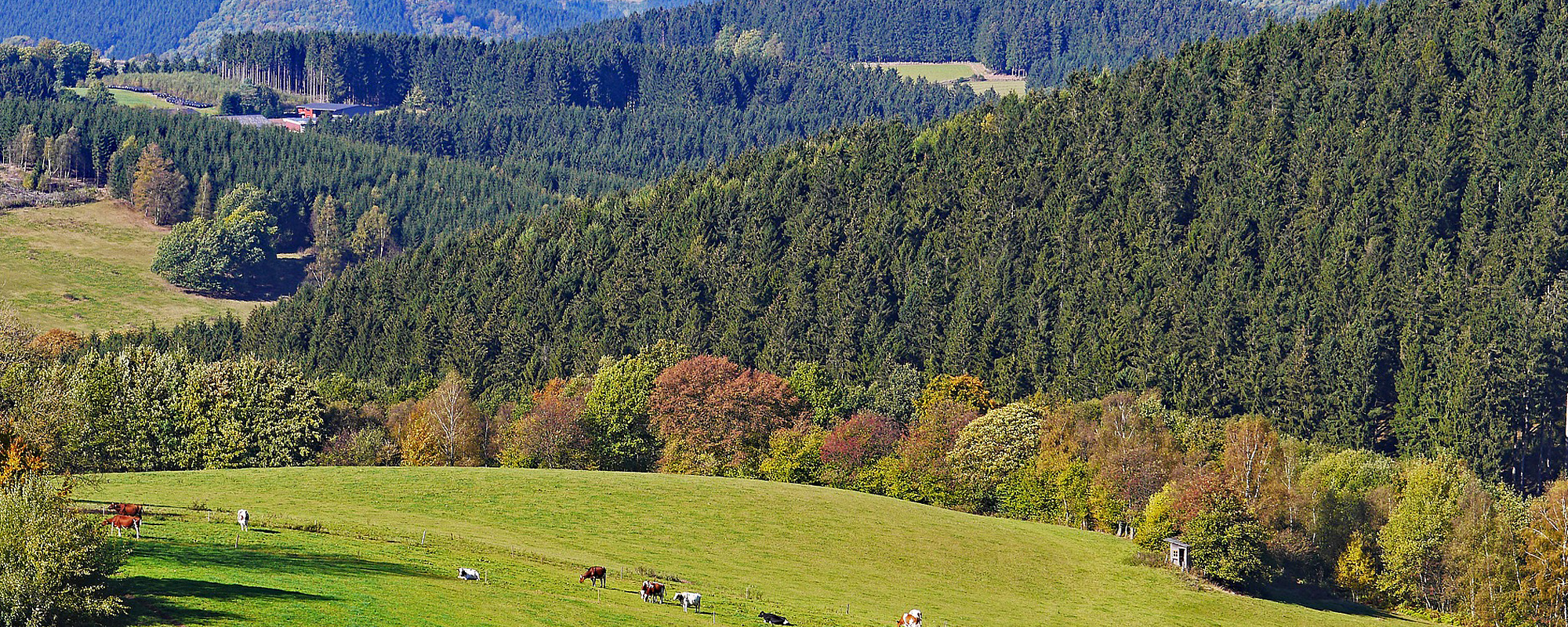 Motiv: Nordrhein-Westfalen - Gastgeberverzeichnis - Gastgeberverzeichnis für Ihren Urlaub in  Deutschland