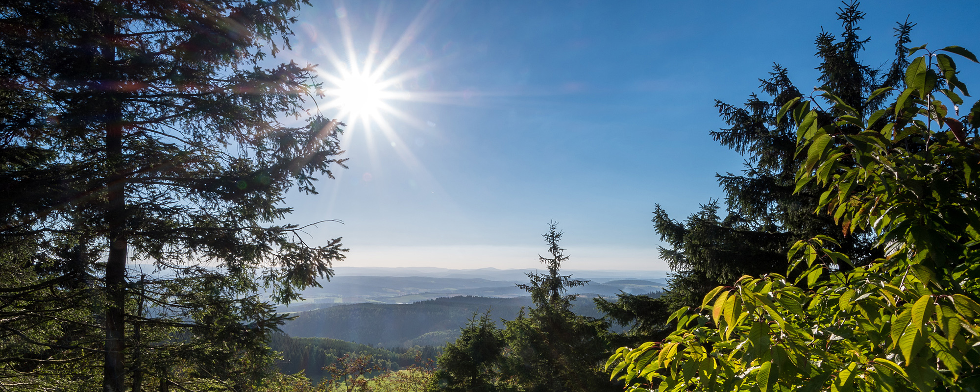 Motiv: Rennsteig - Thüringen - Gastgeberverzeichnis - Gastgeberverzeichnis für Ihren Urlaub in  Deutschland